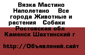 Вязка Мастино Наполетано  - Все города Животные и растения » Собаки   . Ростовская обл.,Каменск-Шахтинский г.
